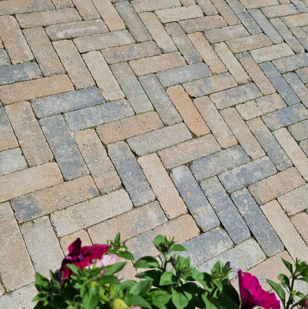 Miniatuur 3