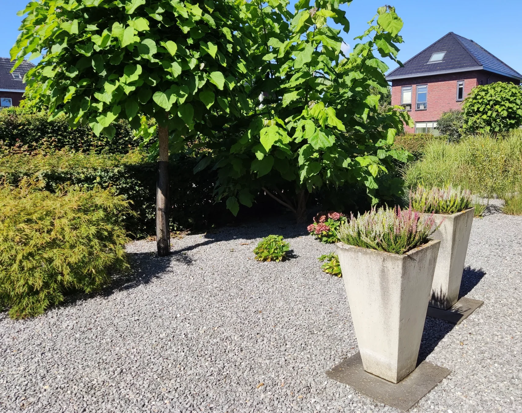 Miniatuur 2