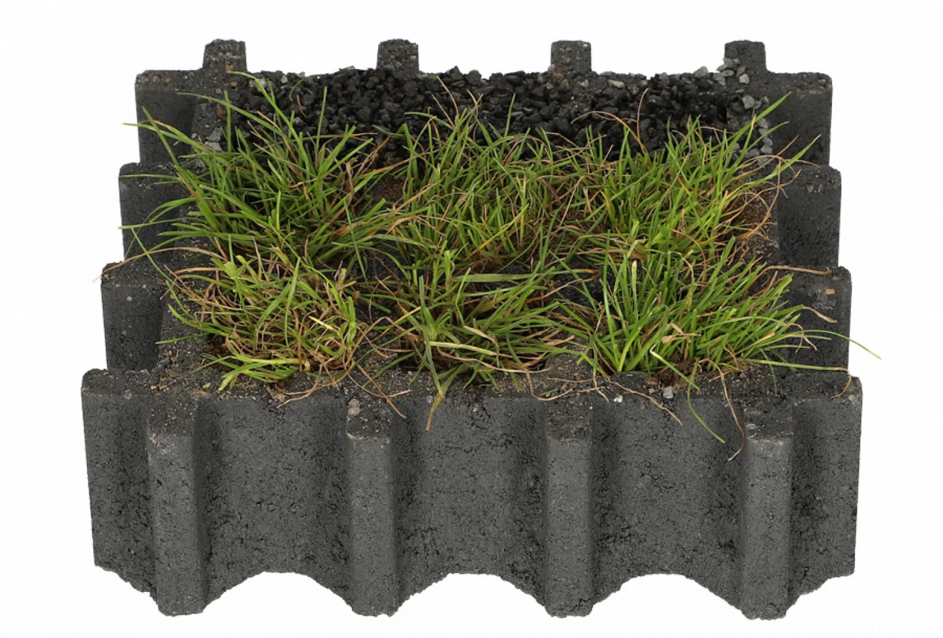 Miniatuur 3