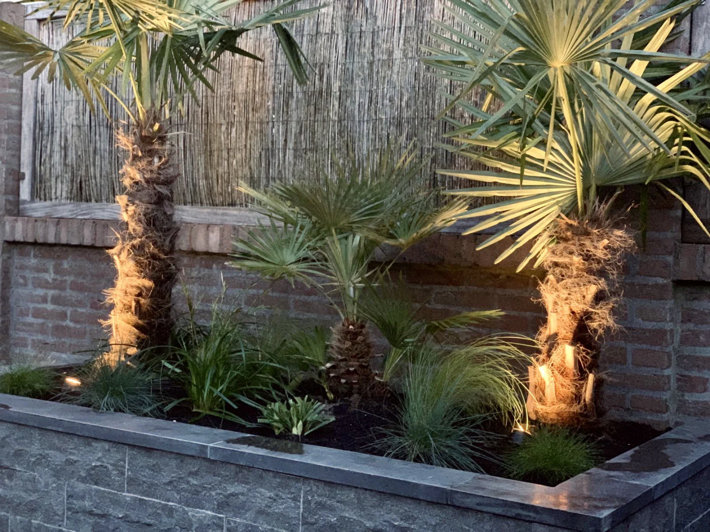 Miniatuur 2