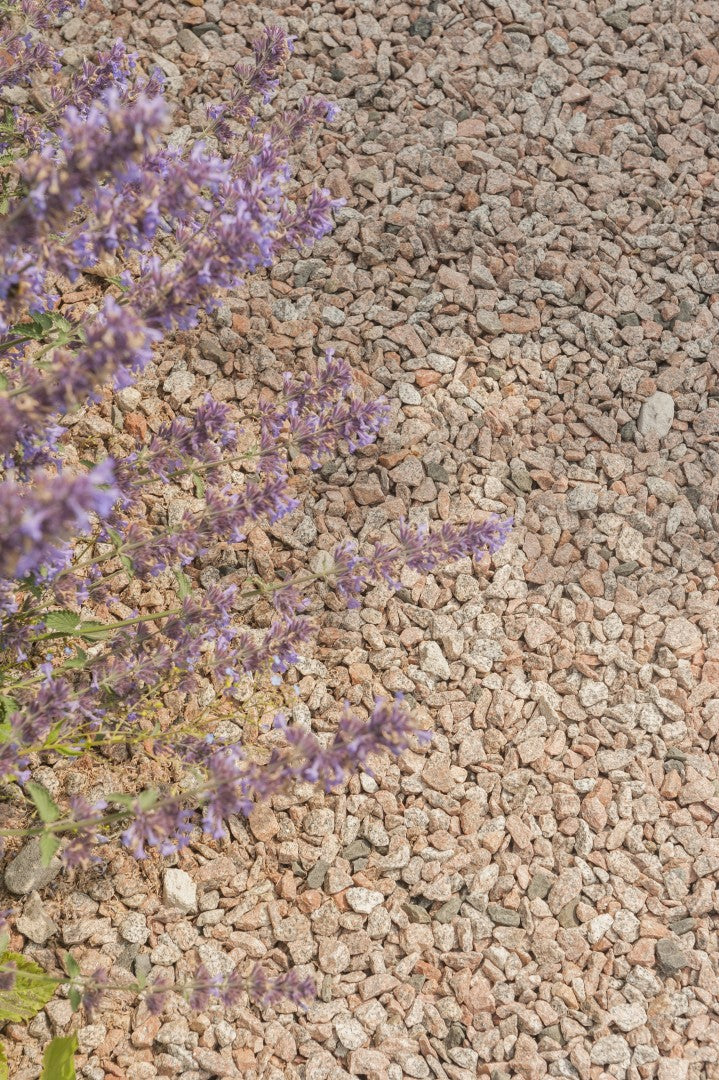 Miniatuur 5