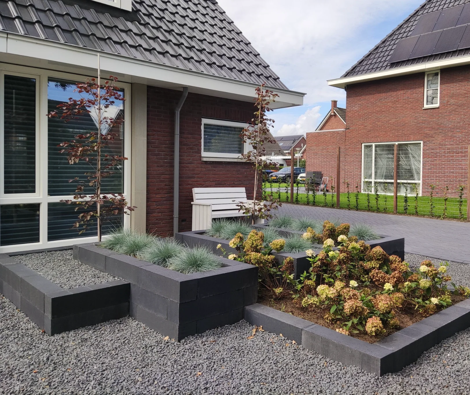 Miniatuur 3