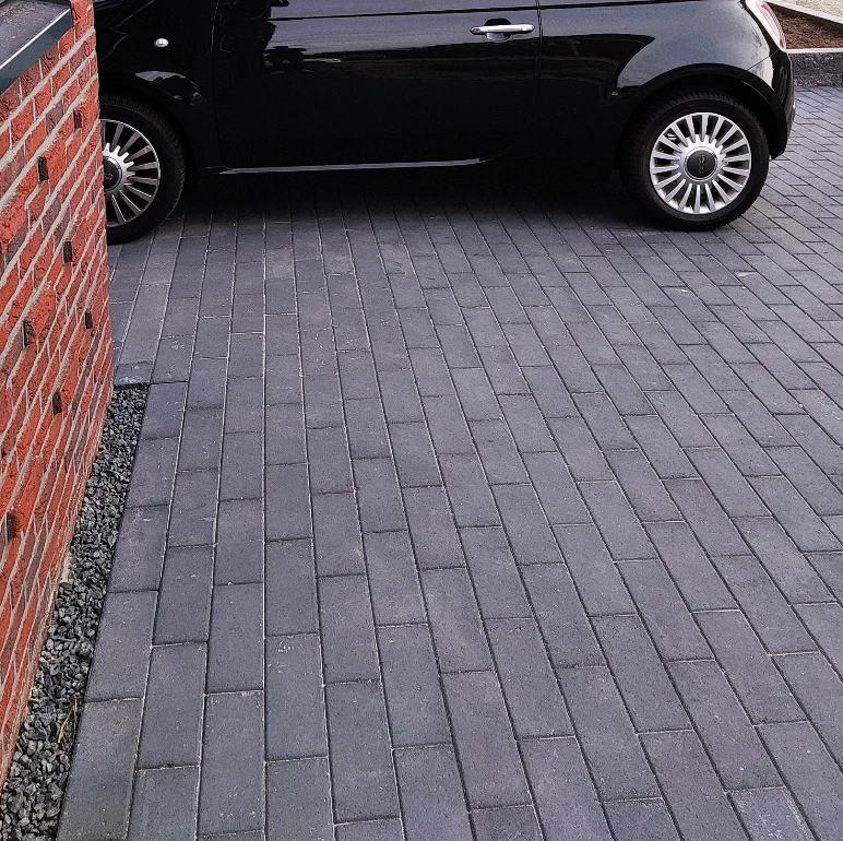 Miniatuur 3