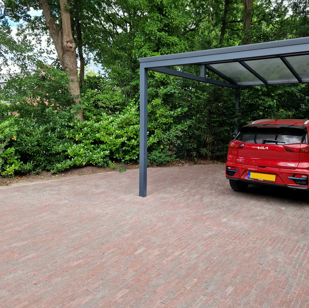 Miniatuur 5
